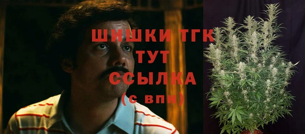 соль ск Белокуриха