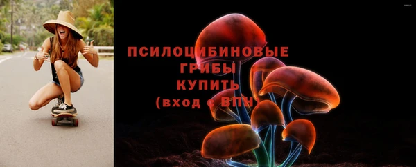 соль ск Белокуриха