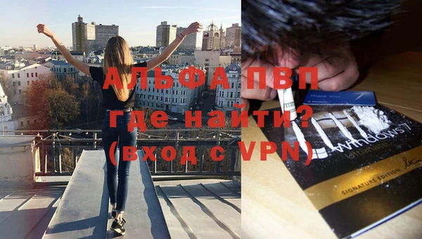 соль ск Белокуриха