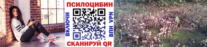 где купить наркоту  Видное  omg как зайти  Галлюциногенные грибы GOLDEN TEACHER 