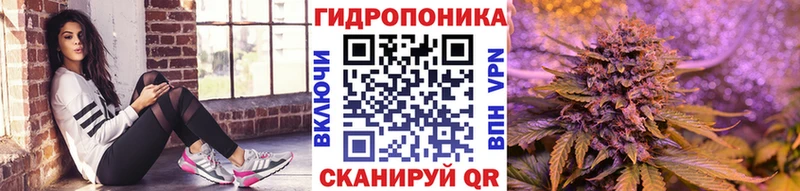 сколько стоит  Видное  гидра как зайти  Каннабис планчик 